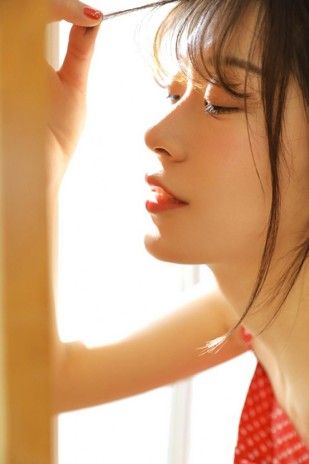 我和动物的故事作文